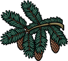 Décor en branche de sapin des Pyrénées, Ex Libris, Vadym Burla