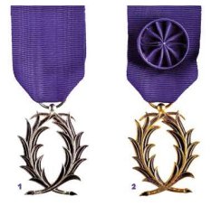 Dimitri Prica à Boston