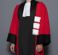 Toge universitaire, professeur de droit