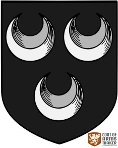 Ecu Belfils par CoA Maker