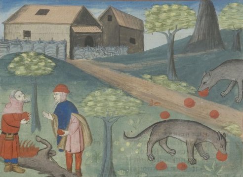 Chapitre LXX Ci devise comment on puet prendre les lous aux aguilles, Livre de la chasse, Gaston Phébus