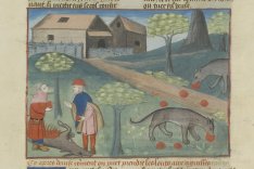 Le Livre de la Chasse, Musée Condé, Chantilly