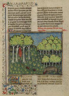 Le Livre de la Chasse, The J. Paul Getty Museum, Los Angeles