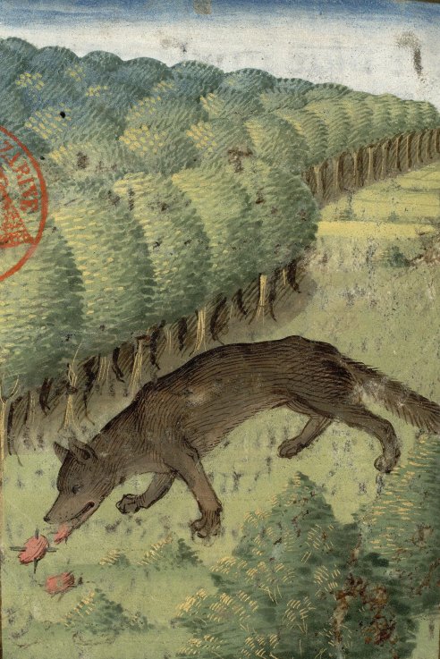 Chapitre LXX Ci devise comment on puet prendre les lous aux aguilles, Livre de la chasse, Gaston Phébus