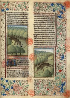 Le Livre de la Chasse, Musée Condé, Chantilly