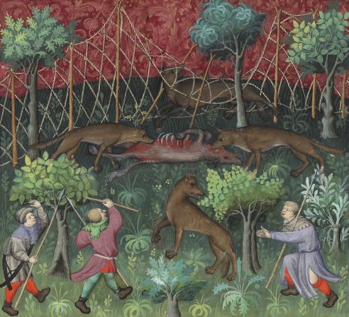 Chapitre LV, Ci devise comment on puet prendre les lous à la croupie, Livre de la chasse, Gaston Phébus
