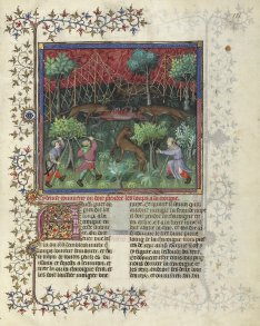 Le Livre de la Chasse, BnF, Dpt des Manuscrits français, 616