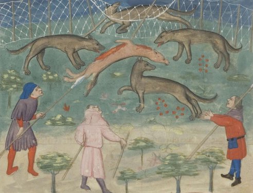 Chapitre LV, Ci devise comment on puet prendre les lous à la croupie, Livre de la chasse, Gaston Phébus