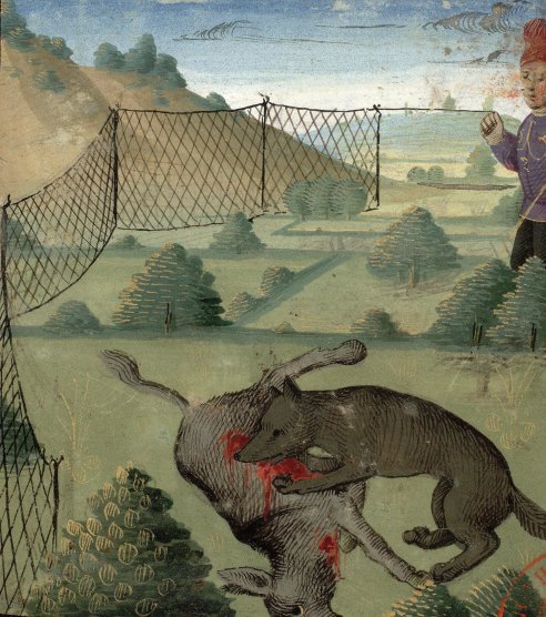 Chapitre LV, Ci devise comment on puet prendre les lous à la croupie, Livre de la chasse, Gaston Phébus
