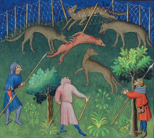 Chapitre LV, Ci devise comment on puet prendre les lous à la croupie, Livre de la chasse, Gaston Phébus