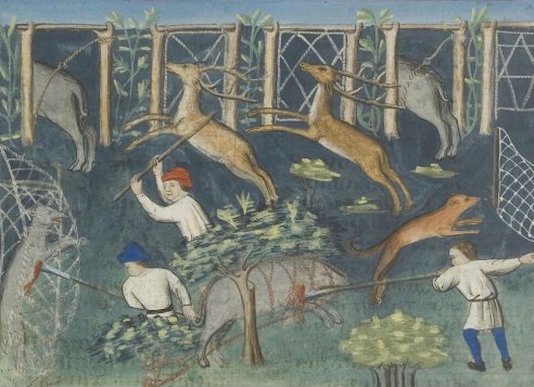 Livre de la chasse, Gaston Phébus