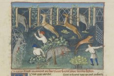 Le Livre de la Chasse, Musée Condé, Chantilly