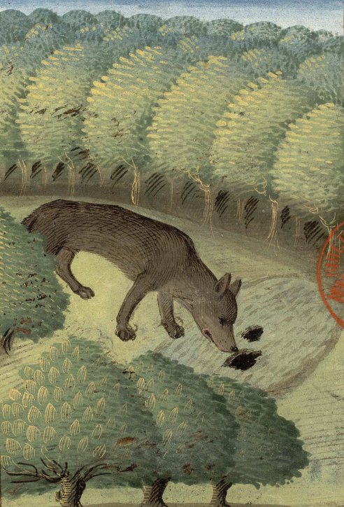 Chapitre LXIX Ci devise comment on puet prendre les lous ès fousses au train, Livre de la chasse, Gaston Phébus