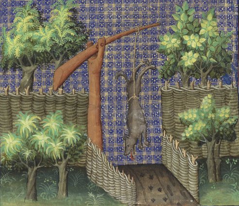 Chapitre LV, Ci devise comment on puet prendre lous et autres bestes aux haussepiedz, Livre de la chasse, Gaston Phébus
