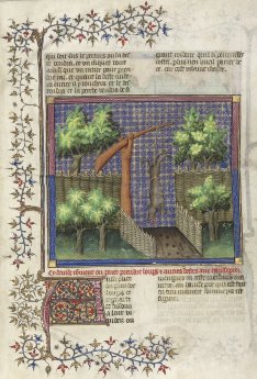 Le Livre de la Chasse, BnF, Dpt des Manuscrits français, 616
