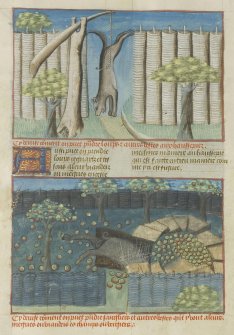 Le Livre de la Chasse, Musée Condé, Chantilly
