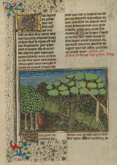 Le Livre de la Chasse, The J. Paul Getty Museum, Los Angeles