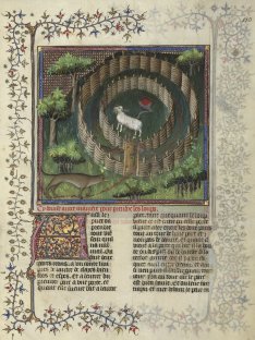 Le Livre de la Chasse, BnF, Dpt des Manuscrits français, 616