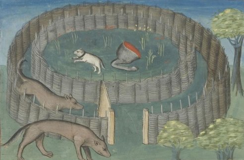 Chapitre LXVI, Ci devise autre manière pour prendre les lous, Livre de la chasse, Gaston Phébus