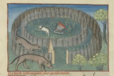 Le Livre de la Chasse, Musée Condé, Chantilly