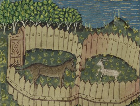 Chapitre LXVI, Ci devise autre manière pour prendre les lous, Livre de la chasse, Gaston Phébus