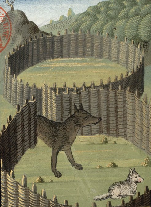 Chapitre LXVI, Ci devise autre manière pour prendre les lous, Livre de la chasse, Gaston Phébus