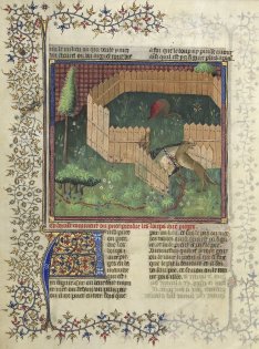 Le Livre de la Chasse, BnF, Dpt des Manuscrits français, 616