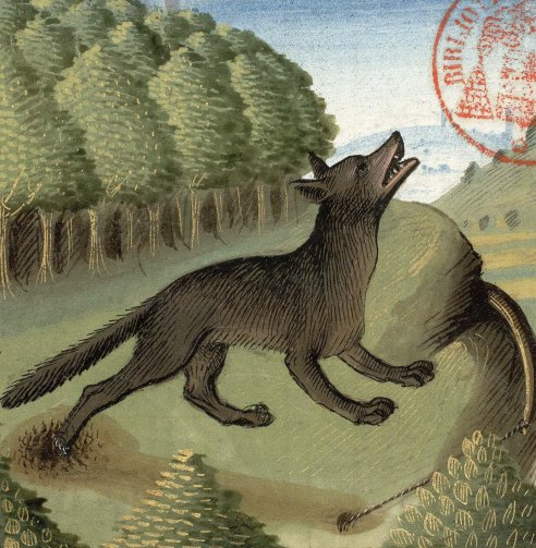 Chapitre LXV, Ci devise comment on puet prendre les lous aux piéges, Livre de la chasse, Gaston Phébus