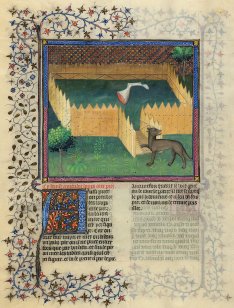 Le Livre de la Chasse, The Morgan Library & Museum, New York